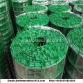 PVC bọc an ninh Euro hàng rào